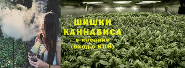дмт Бронницы