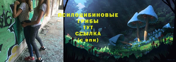 ALPHA PVP Верея