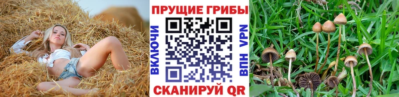 Галлюциногенные грибы ЛСД  МЕГА как зайти  Гулькевичи 